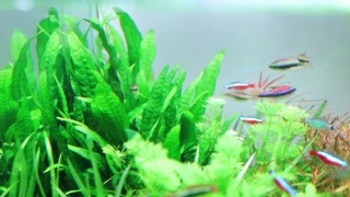 Thumbnail of post image 082